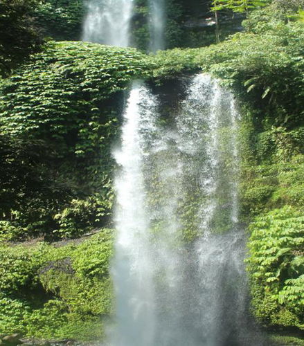 Foto de Excursión a Cascadas y Senderismo
